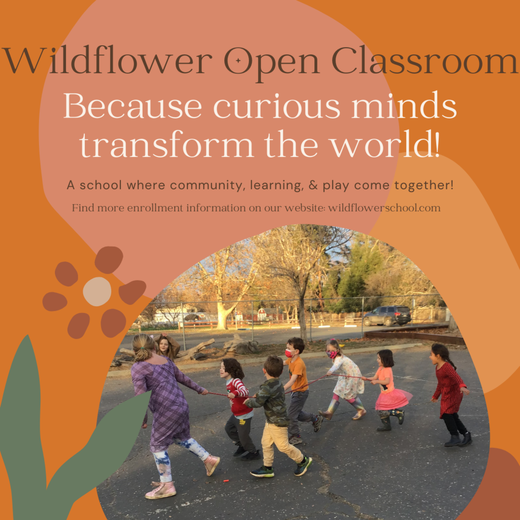 Wildflower Open Classoom