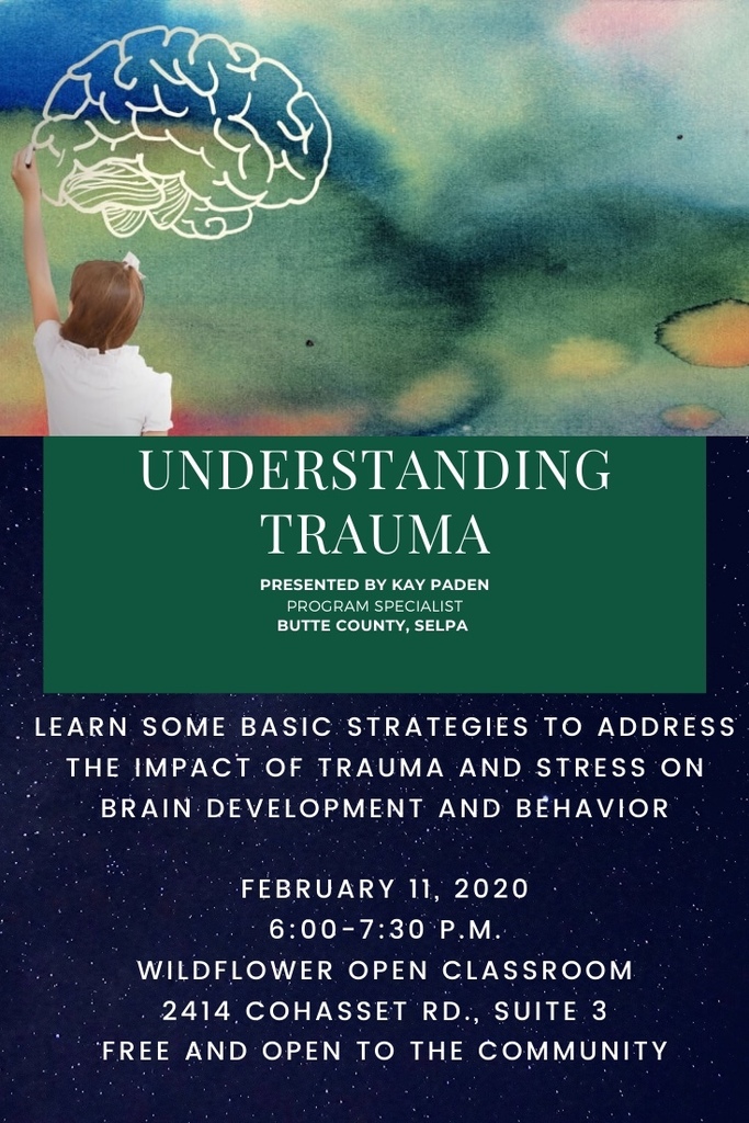 Understanding Trauma Flyer