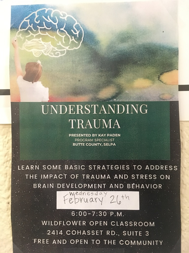 Understanding Trauma Flyer 2